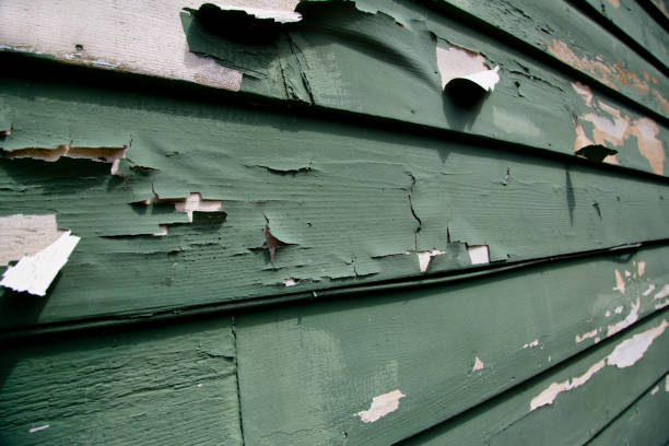 Affordable siding repair and maintenance services in Greenback, TN